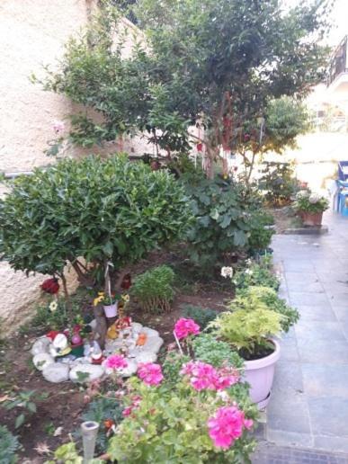 Margaritas' Rooms Agios Gordios  Exterior photo